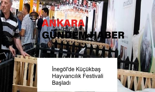 İnegöl’de Küçükbaş Hayvancılık Festivali Başladı