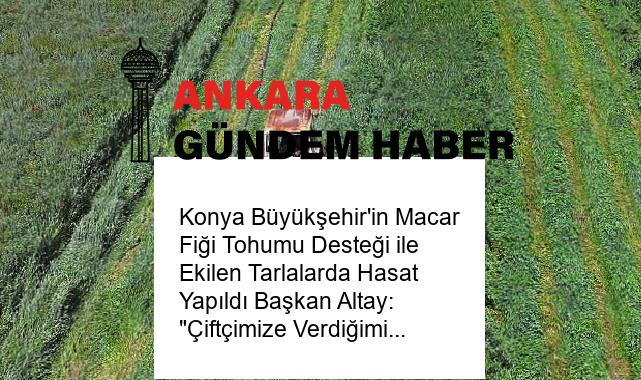 Konya Büyükşehir’in Macar Fiği Tohumu Desteği ile Ekilen Tarlalarda Hasat Yapıldı Başkan Altay: “Çiftçimize Verdiğimiz Desteklerle Millî Ekonomiye Katma Değer Sağlıyoruz”
