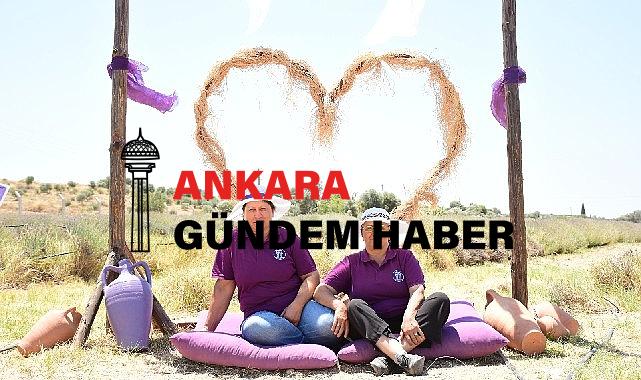 Didim’in Mis Kokulu Lavanta Festivaline sayılı günler kaldı