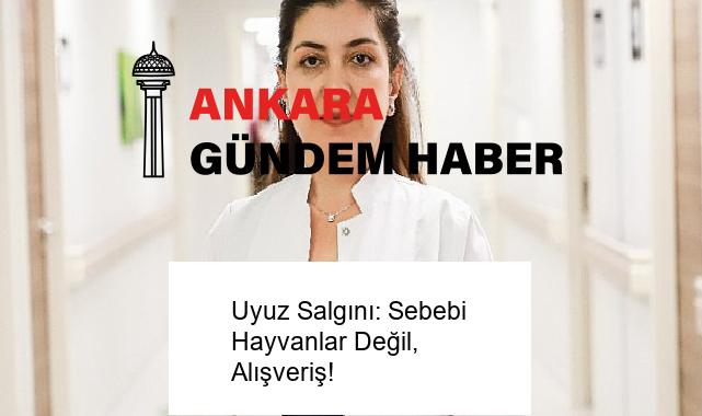 Uyuz Salgını: Sebebi Hayvanlar Değil, Alışveriş!