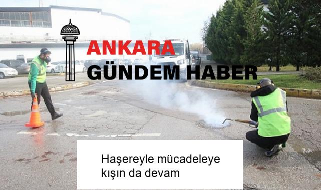 Haşereyle mücadeleye kışın da devam