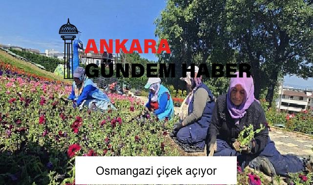 Osmangazi çiçek açıyor