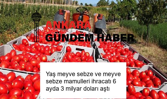 Yaş meyve sebze ve meyve sebze mamulleri ihracatı 6 ayda 3 milyar doları aştı