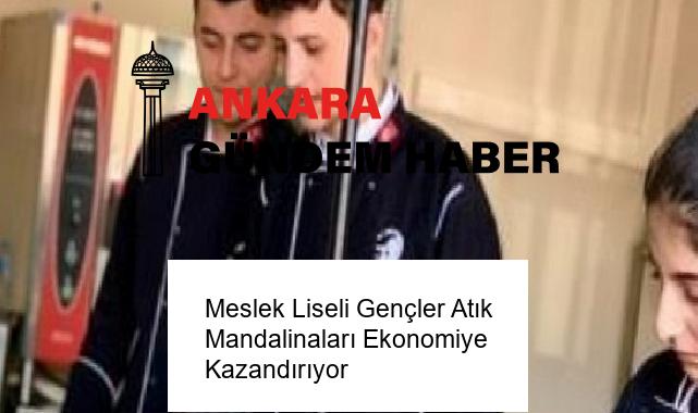 Meslek Liseli Gençler Atık Mandalinaları Ekonomiye Kazandırıyor