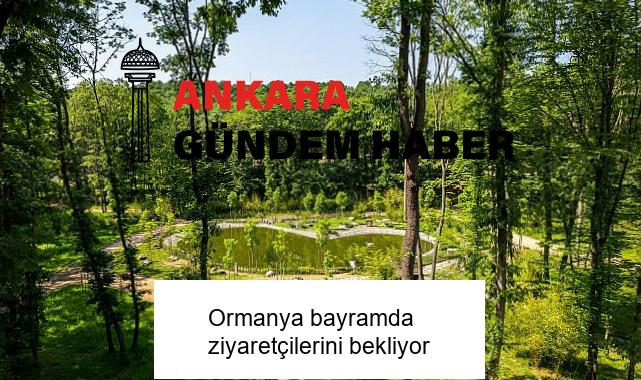 Ormanya bayramda ziyaretçilerini bekliyor