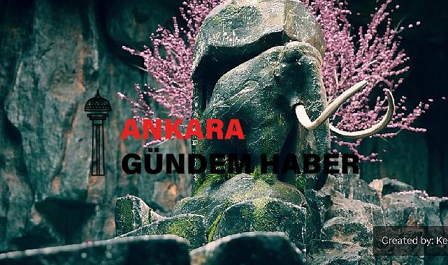 “NVIDIA Studio’da Yaratıcılığı ve İnovasyonu Destekleyen Yeni Uygulamalar”