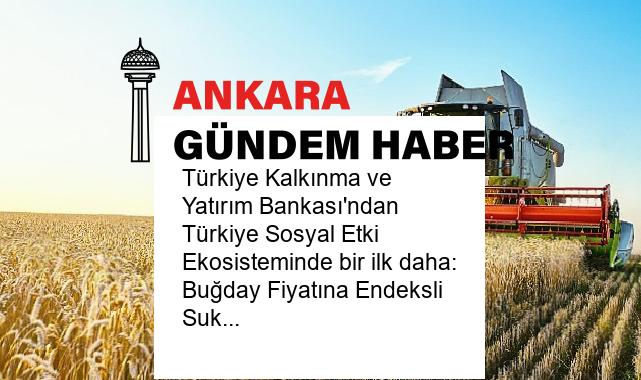 Türkiye Kalkınma ve Yatırım Bankası’ndan Türkiye Sosyal Etki Ekosisteminde bir ilk daha: Buğday Fiyatına Endeksli Sukuk İhracı