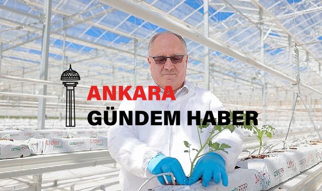 Çöpten Enerji ve Isı Üretilerek 2 Bin Ton Domates Yetiştirilecek