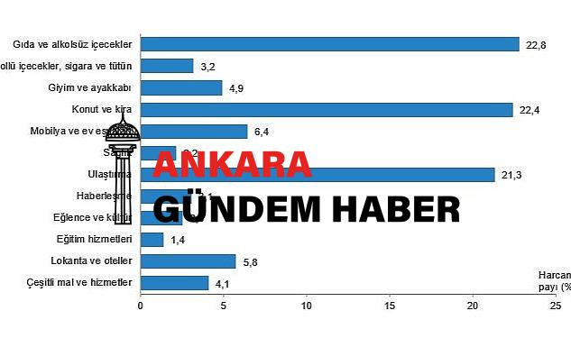 Hanehalkı bütçesinden en fazla hisse besin ve alkolsüz içecek harcamasına ayrıldı