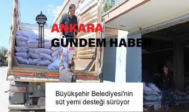 Büyükşehir Belediyesi’nin süt yemi desteği sürüyor