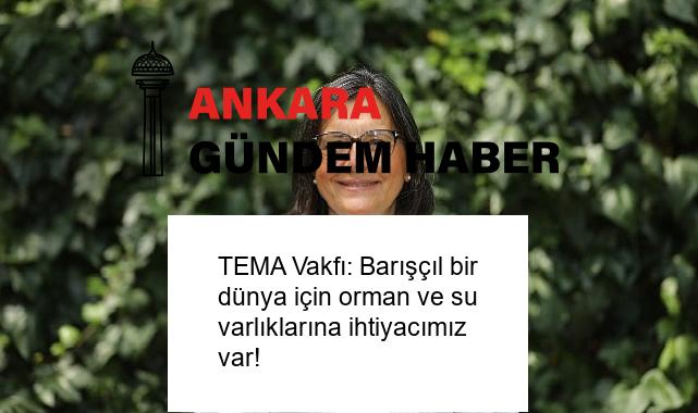 TEMA Vakfı: Barışçıl bir dünya için orman ve su varlıklarına ihtiyacımız var!