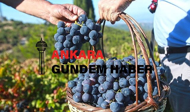 “Bu yılki üzümü Karabağlar Belediyesi’ne borçluyuz”