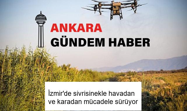 İzmir’de sivrisinekle havadan ve karadan mücadele sürüyor