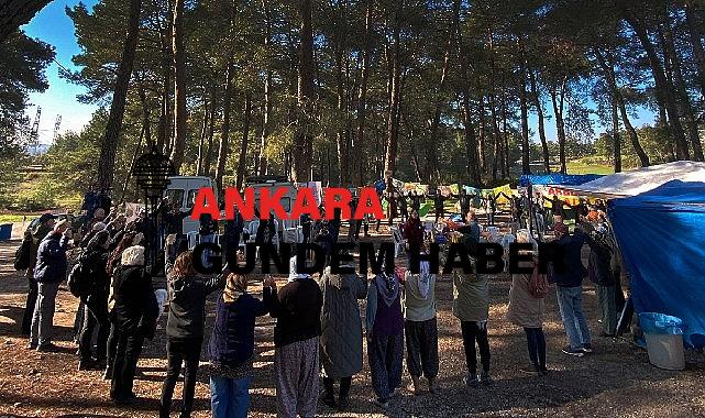 Akbelen Ormanı’nın korunması için sivil toplum kuruluşlarından ortak çağrı!