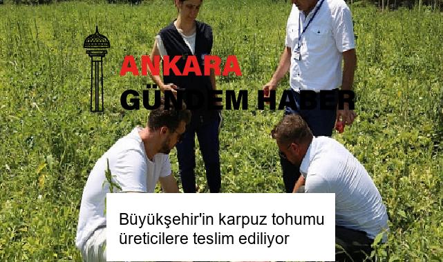 Büyükşehir’in karpuz tohumu üreticilere teslim ediliyor