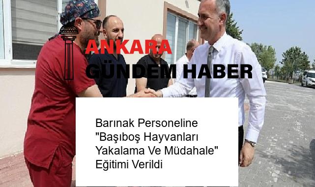 Barınak Personeline “Başıboş Hayvanları Yakalama Ve Müdahale” Eğitimi Verildi