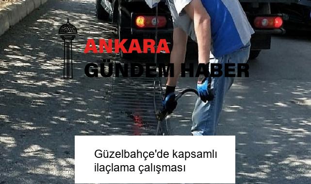 Güzelbahçe’de kapsamlı ilaçlama çalışması