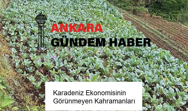 Karadeniz Ekonomisinin Görünmeyen Kahramanları