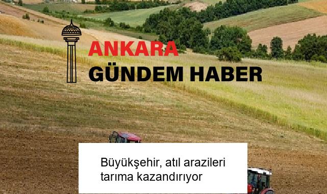 Büyükşehir, atıl arazileri tarıma kazandırıyor