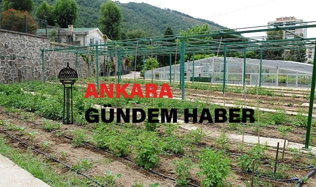 Tugay “Yerel tohumları koruyor ve toprakla buluşturuyoruz”