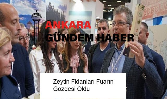 Zeytin Fidanları Fuarın Gözdesi Oldu