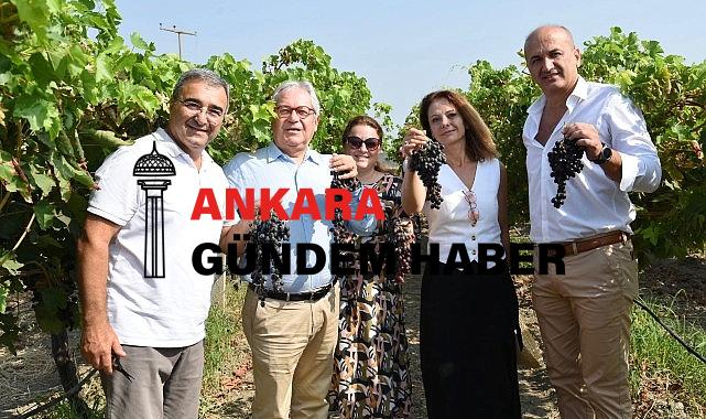 Borsakarası İlk Ürününü Verdi