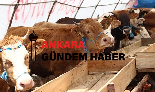 Çankaya Belediyesi Kurban Bayramı’na Hazır