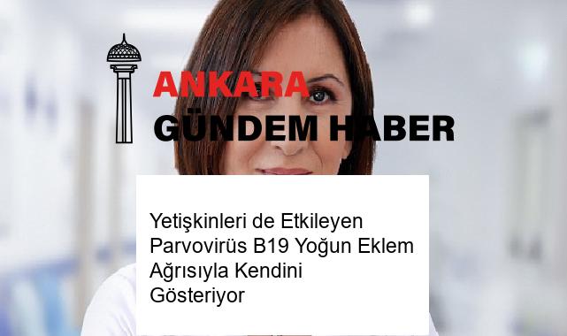 Yetişkinleri de Etkileyen Parvovirüs B19 Yoğun Eklem Ağrısıyla Kendini Gösteriyor