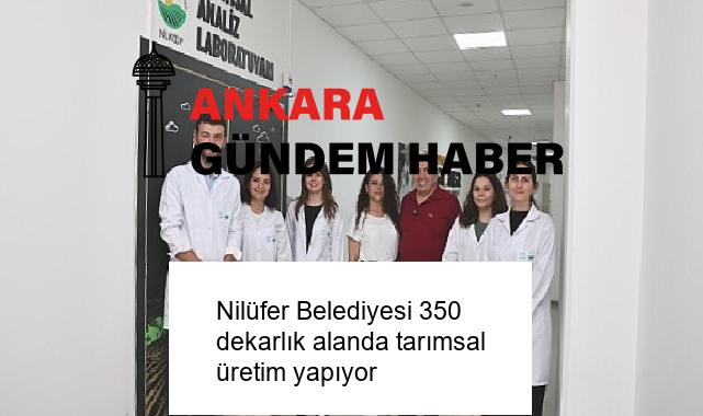 Nilüfer Belediyesi 350 dekarlık alanda tarımsal üretim yapıyor