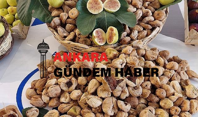 Kuru İncir İhracatında Tarihi Rekor 73 Bin 388 Ton Kuru İncir İhraç Ettik 260 Milyon Dolar Döviz Kazandık