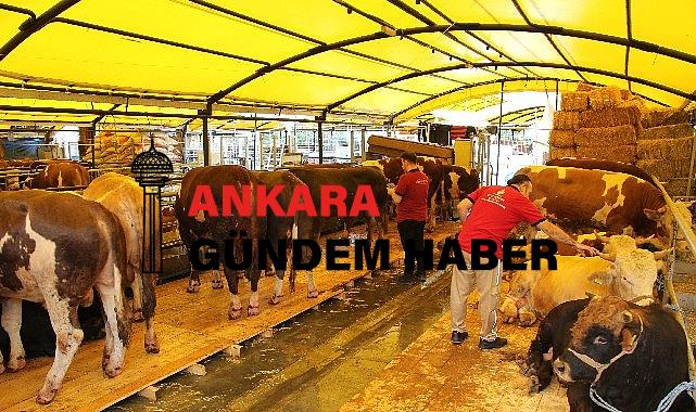 İstanbul Kurban Bayramına hazır