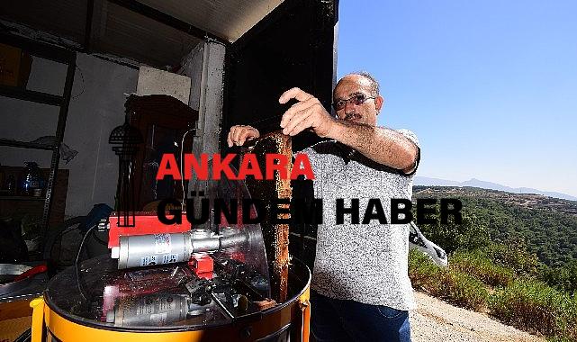Bornovalı Arıcılarda Hasat Mutluluğu