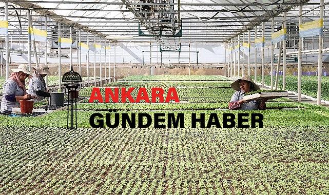 Büyükşehir Belediyesi kendi ürettiği çiçek ve  bitkilerle yıllık 22 milyon lira tasarruf ediyor
