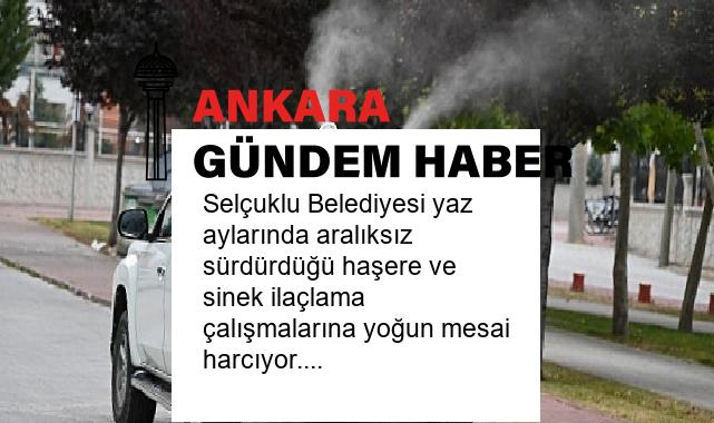 Selçuklu Belediyesi yaz aylarında aralıksız sürdürdüğü haşere ve sinek ilaçlama çalışmalarına yoğun mesai harcıyor.
