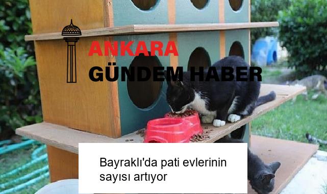 Bayraklı’da pati evlerinin sayısı artıyor