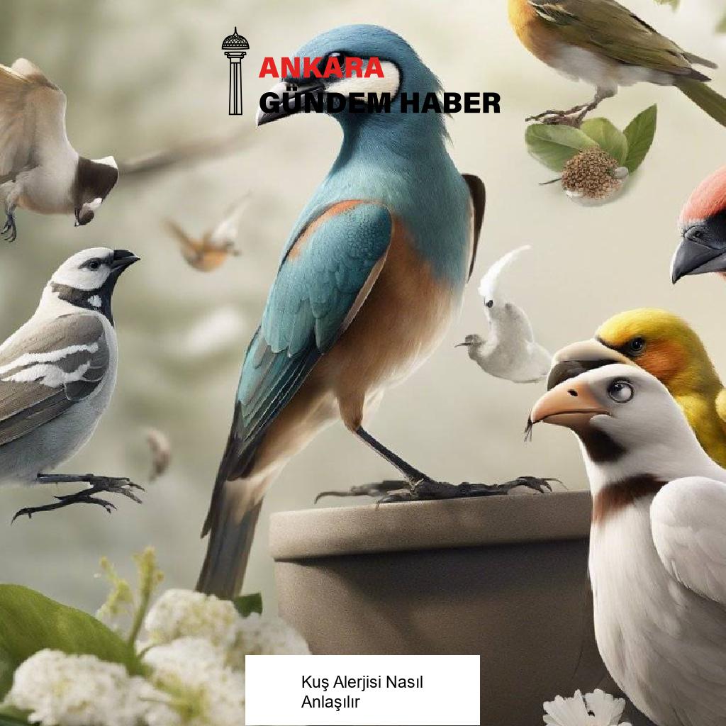 Kuş Alerjisi Nasıl Anlaşılır