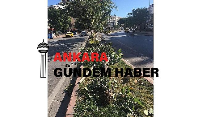 Antalya Büyükşehir ekiplerinin fırtına mesaisi