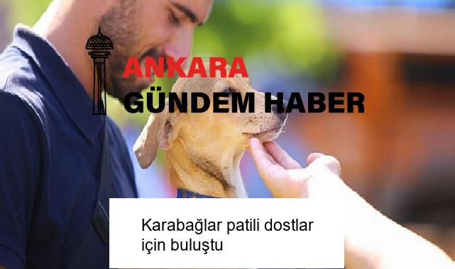 Karabağlar patili dostlar için buluştu