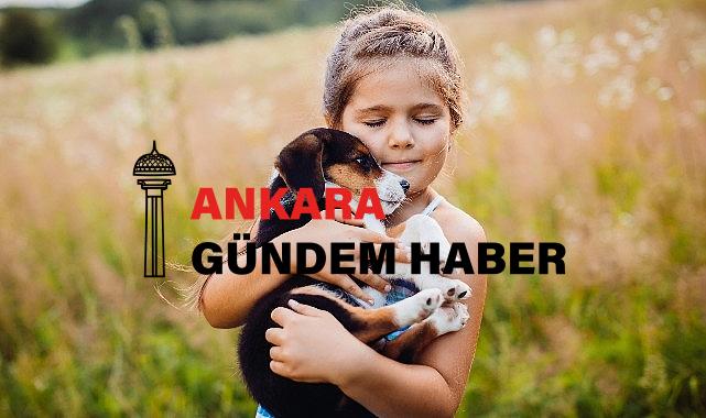 Alerji yöntemi için 20 öneri !