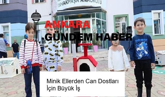 Minik Ellerden Can Dostları İçin Büyük İş