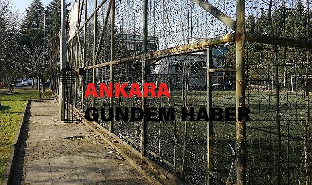 Kocaeli Büyükşehir, sahaları elden geçiriyor