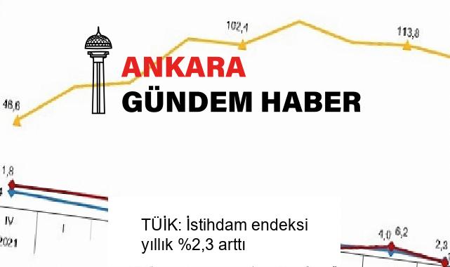 TÜİK: İstihdam endeksi yıllık %2,3 arttı