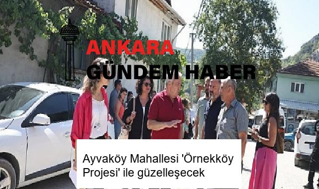 Ayvaköy Mahallesi ‘Örnekköy Projesi’ ile güzelleşecek