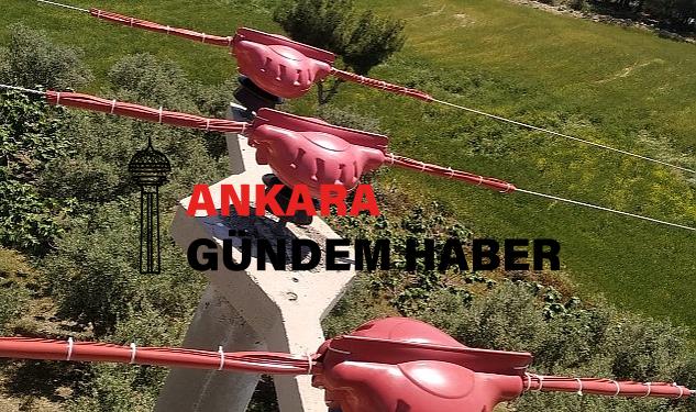 Toroslar EDAŞ Sınırlarını Yalıttı, Kuşlar Kanatlarını Hayata Çırptı