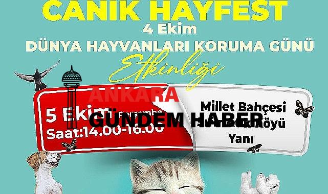 Canik Sevimli Dostlar için Buluşuyor