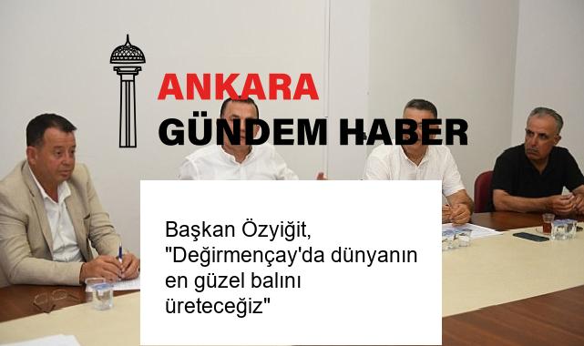 Başkan Özyiğit, “Değirmençay’da dünyanın en güzel balını üreteceğiz”