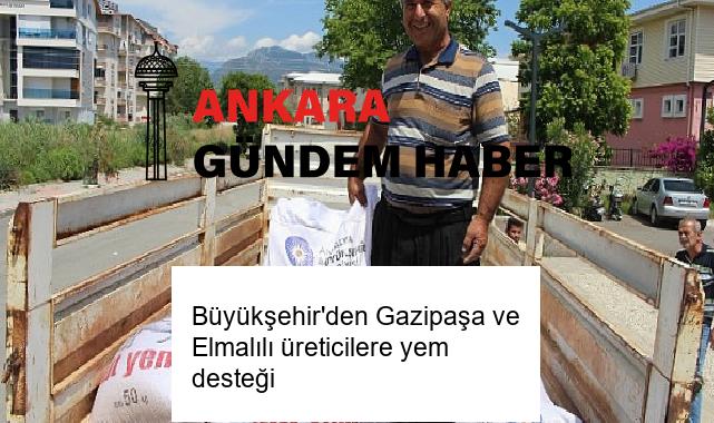 Büyükşehir’den Gazipaşa ve Elmalılı üreticilere yem desteği