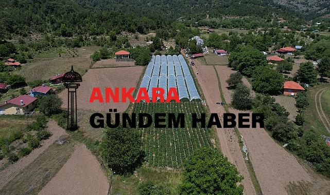 Muğla Büyükşehir Belediyesi destekleriyle Migros’ta çilek satışına başlayan üreticiler Köyceğiz’in yaylalarında yetişen ürünleri vatandaşla buluşturmanın mutluluğunu yaşıyor.