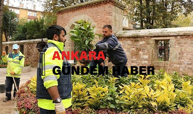 Yenilenen ve yeşillenen Yeni Cuma avlusu