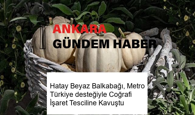 Hatay Beyaz Balkabağı, Metro Türkiye desteğiyle Coğrafi İşaret Tesciline Kavuştu